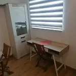 Braun * Zadar