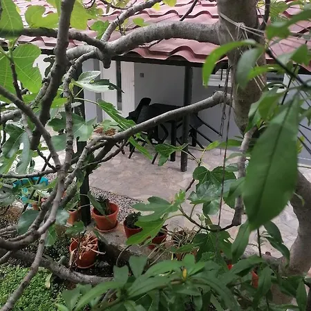 Braun Διαμέρισμα