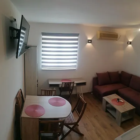 Braun זאדאר