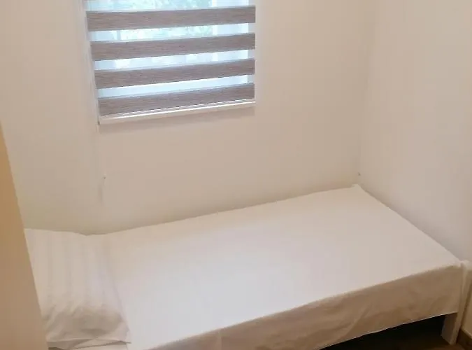 Braun * Ζαντάρ