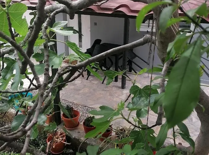 Braun Διαμέρισμα